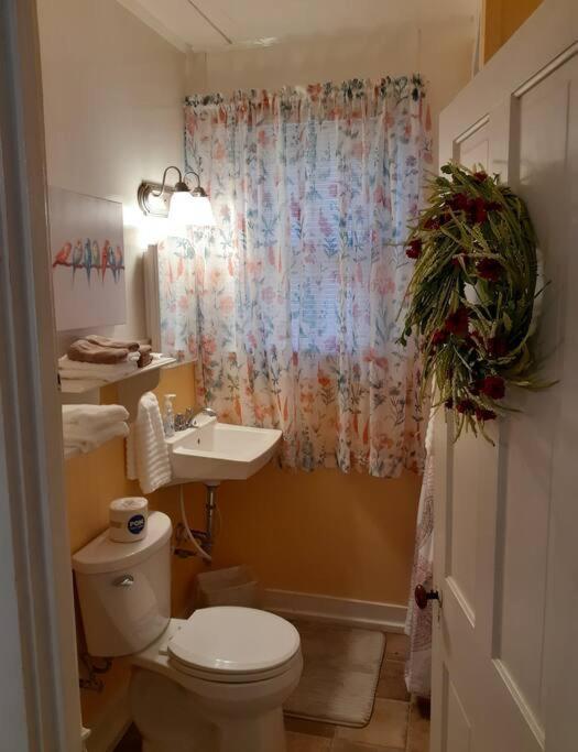 #05 - Lakefront Two Bedroom Cottage- Pet Friendly Hot Springs Dış mekan fotoğraf